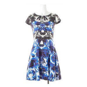 Milly Blue Patterned Dress